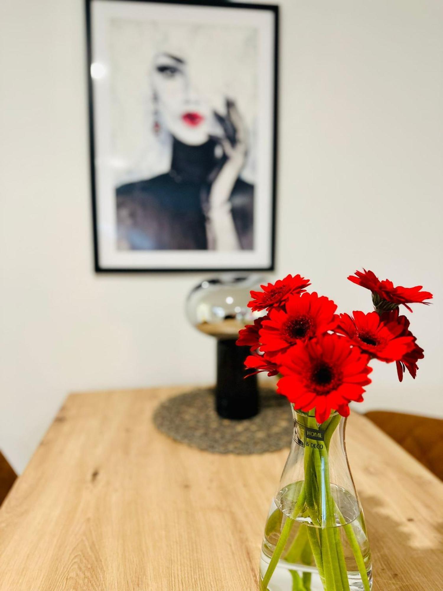 Lous Ferienwohnung Thale Bagian luar foto
